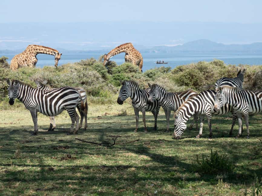 Hellsgate and Lake Naivasha Day Trip from Nairobi - Lunch, and how to budget the real total price