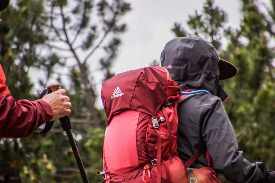 Hike in The Karura Forest - Karura Forest in Nairobi, 4 Hours of Trails and Quiet