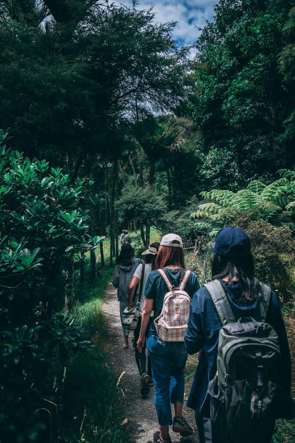 Hike in The Karura Forest - Starting at 13 Nkrumah Ave and How the Time Is Used