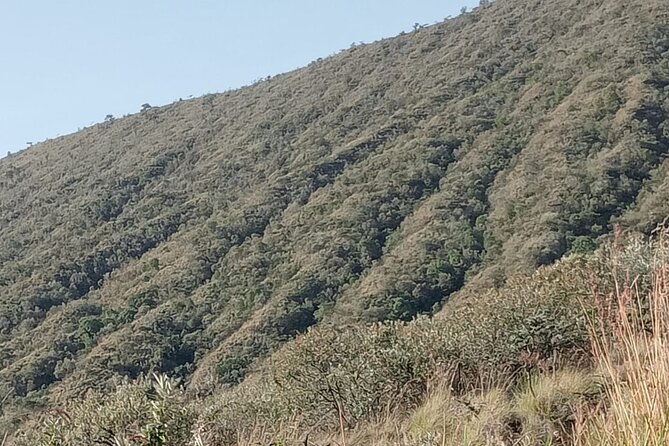 Hiking Trip to Mount Longonot National Park & Lake Naivasha - Who should book this day trip to Longonot and Naivasha