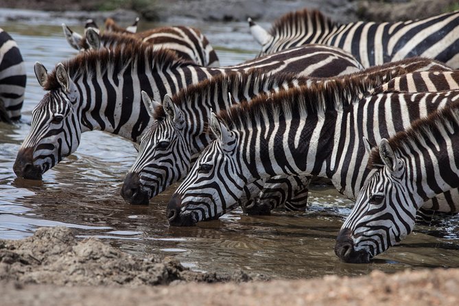 Introducing Kenya Safari Package - Key highlights that matter on the ground