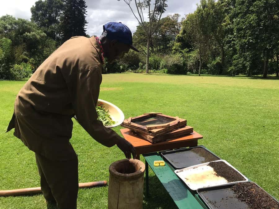 Kaimbethu tea farm tour and lunch package - Starting at the Farm: Tea Stories, Biscuits, and the Real Process