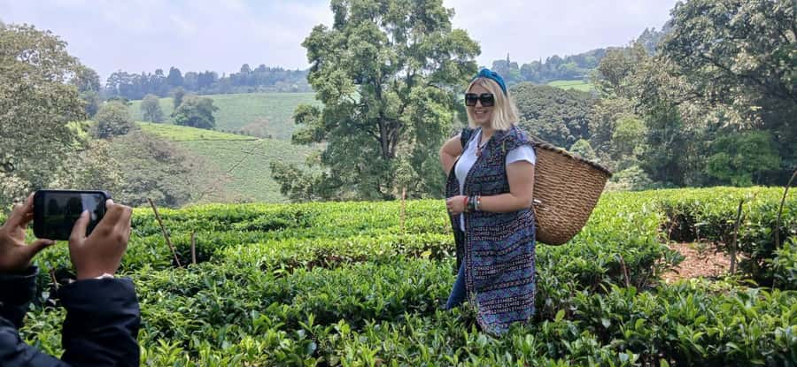 Kaimbethu tea farm tour and lunch package - Ngong Hills Views, Clear-Day Kilimanjaro, and Photos on the Way