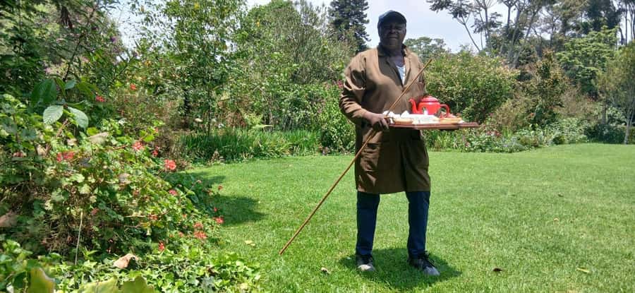 Kaimbethu tea farm tour and lunch package - Tea Tasting and Buying Smarter Before You Leave