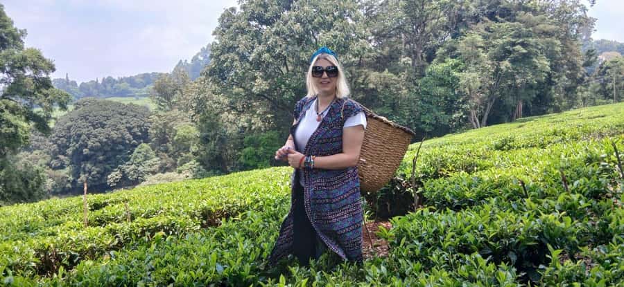 Kaimbethu tea farm tour and lunch package - Hotel Pickup, Small Group Pace, and What 6 Hours Feels Like