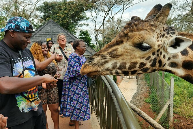 Karen Blixen Museum, Beads craft and Giraffe Day tour - Who this Nairobi tour suits best