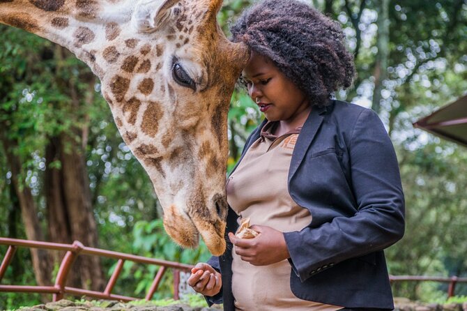 Karen Blixen Museum & Giraffe Centre Half day tour - Small-Group Comfort and Hotel Pickup: Why the Logistics Matter