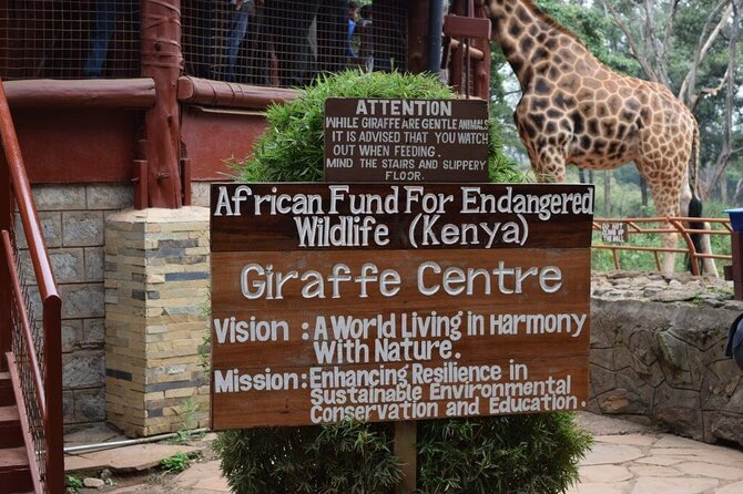 Karen Blixen Museum & Giraffe Centre Half day tour - Timing, What to Pack, and How to Keep the Day Smooth