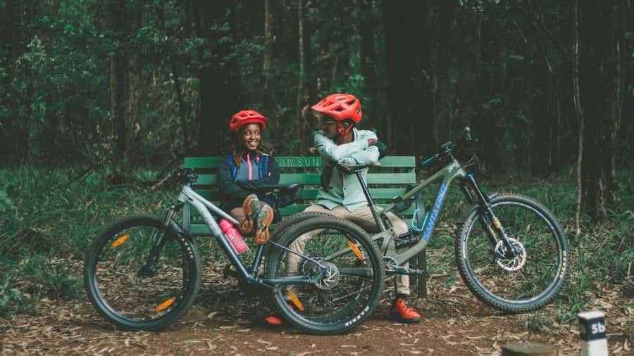 Karura forest A walking tour from Nairobi - Nairobi’s Karura Forest: A City Oasis With Real Forest Stuff