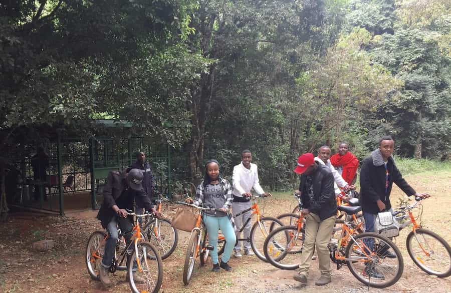 Karura forest A walking tour from Nairobi - Mau Mau Hideout Caves: History You Can Walk Through