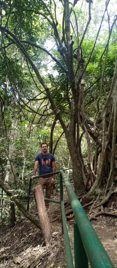 Karura forest: A walking tour into Nairobi's Nature Oasis - Where Karura Forest Gate C turns Nairobi into a trail