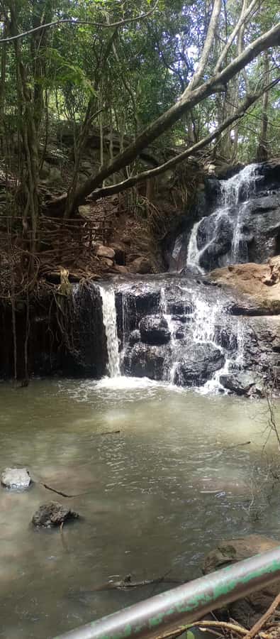 Karura forest: A walking tour into Nairobi's Nature Oasis - Karura Waterfalls: the sound of moving water does the magic