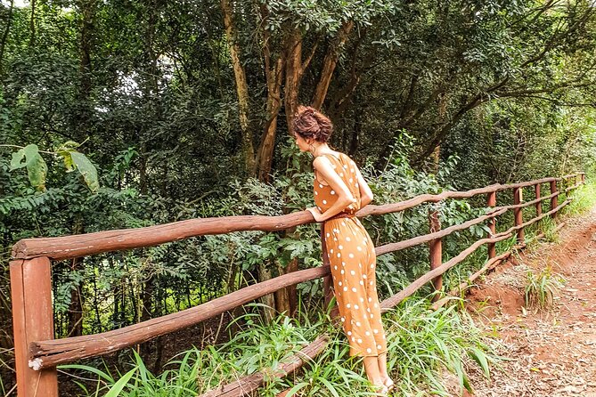 Karura Forest Hiking and Bike Tour - Key Highlights You Should Know