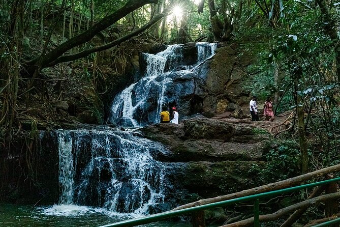 Karura Forest Hiking and Bike Tour - Karura Forest Bike and Hike: Why This Place Works So Well
