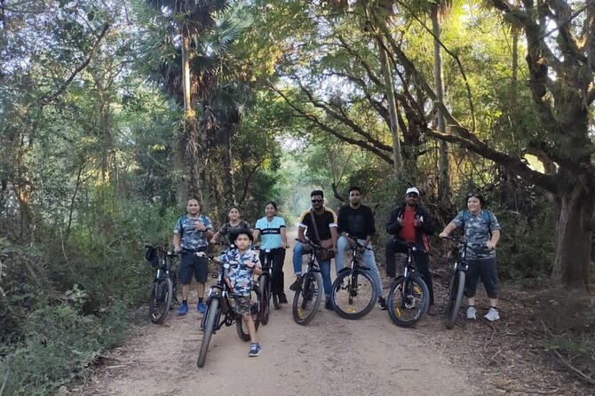 Karura Forest Hiking and Bike Tour - Birdwatching in Karura: 350+ Species and a Guide That Helps You Look