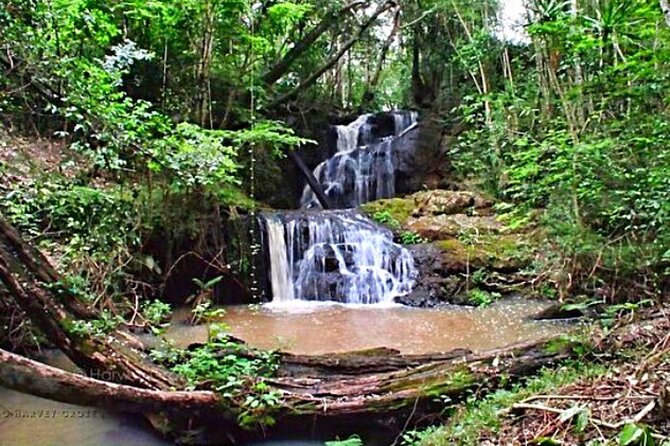 Karura Forest Hiking and Bike Tour - The 9AM Hotel Pickup and How the Timing Fits Real Life