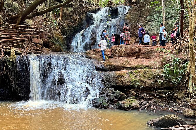 Karura Forest Nature Trail - Key highlights you should know