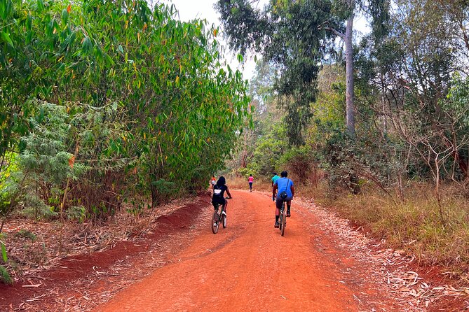 Karura Forest Nature Trail - Karura Forest Nature Trail is all about an active morning