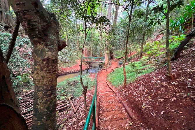Karura Forest Nature Trail - Bikes, tennis, and other activities: fun extras if you plan them