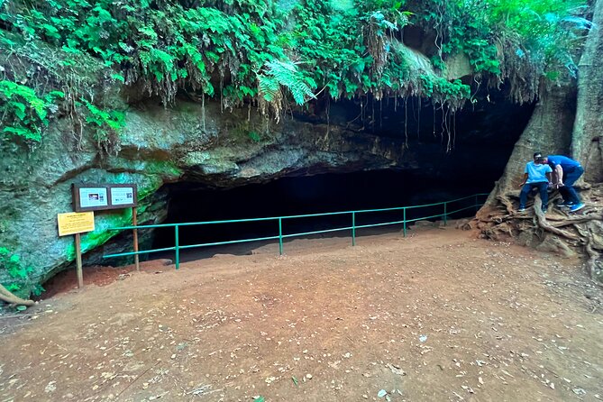 Karura Forest Nature Trail - Should you book this tour?