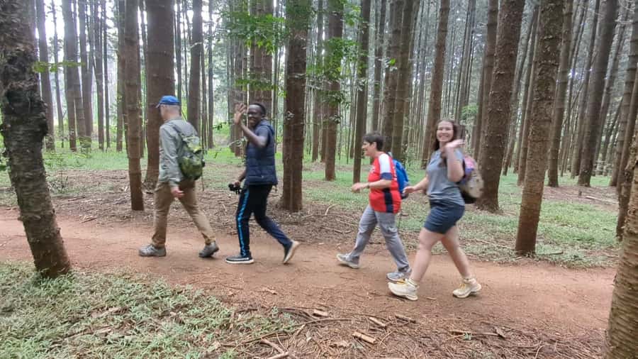 Karura Forest: Walking tour with Nature and Waterfalls. - Key things I’d circle before you go