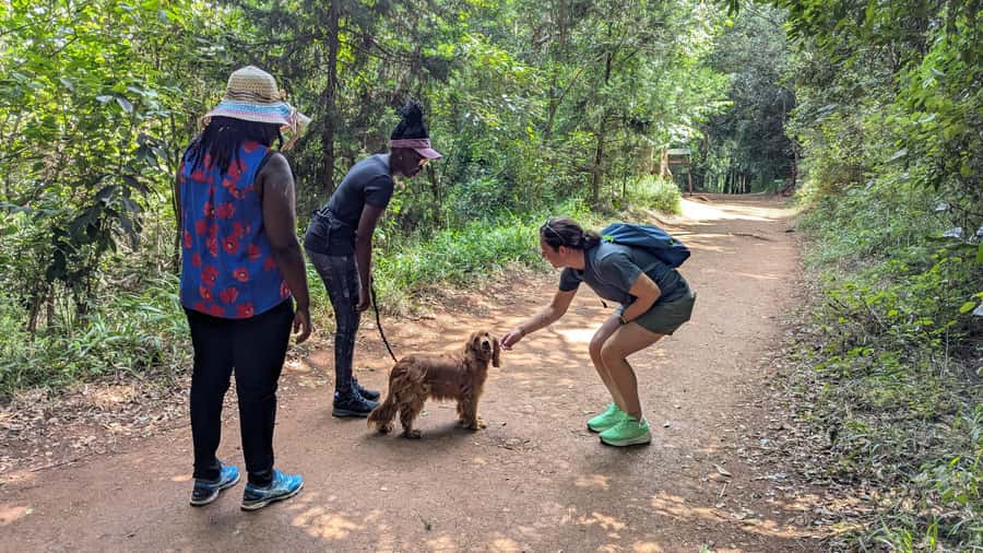 Karura Forest: Walking tour with Nature and Waterfalls. - What the walking route gives you, from woodlands to water sounds