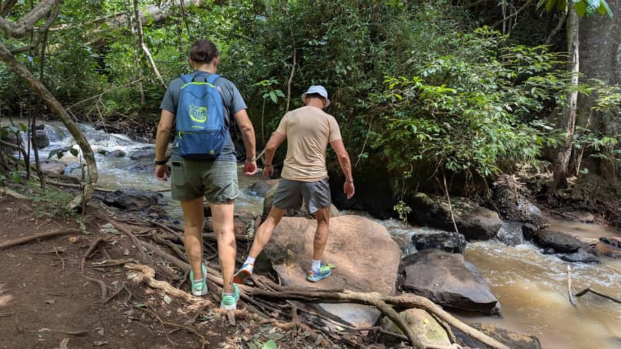 Karura Forest: Walking tour with Nature and Waterfalls. - Monkey spotting without turning the experience into chaos