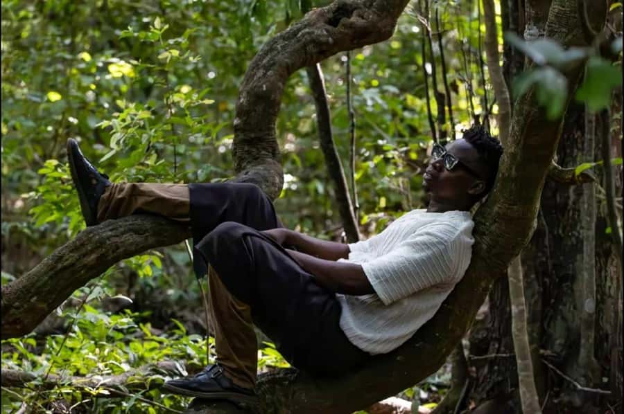 Kaya Kinondo Sacred Forest Guided Tour - The welcome hall, then traditional attire before you step in