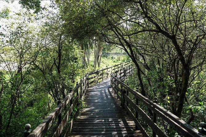 Keekorok Lodge 3 Days, 2 Nights Maasai Mara Offer - The safari rhythm: Big Five searching plus a Mara River wildlife moment