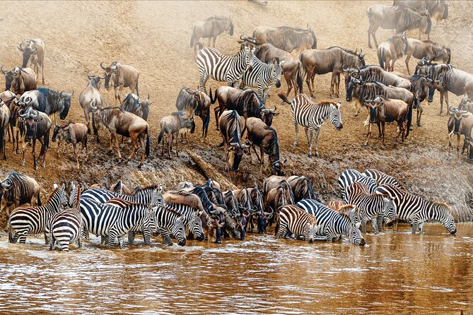 Kenya safari - Lake Naivasha and Hell’s Gate: a different kind of wildlife day