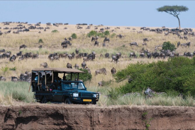 Kenya safari - Two full Mara days: packed lunch drives and balloon views