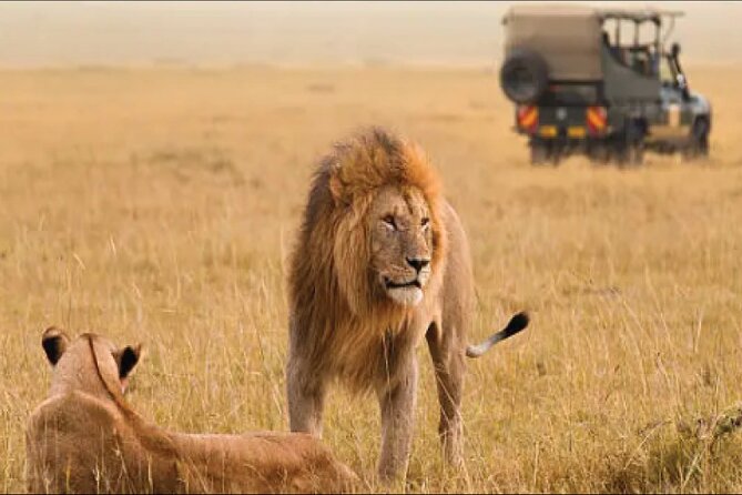 Kenya safari - Meals, hotel base, and why “included” matters on safari