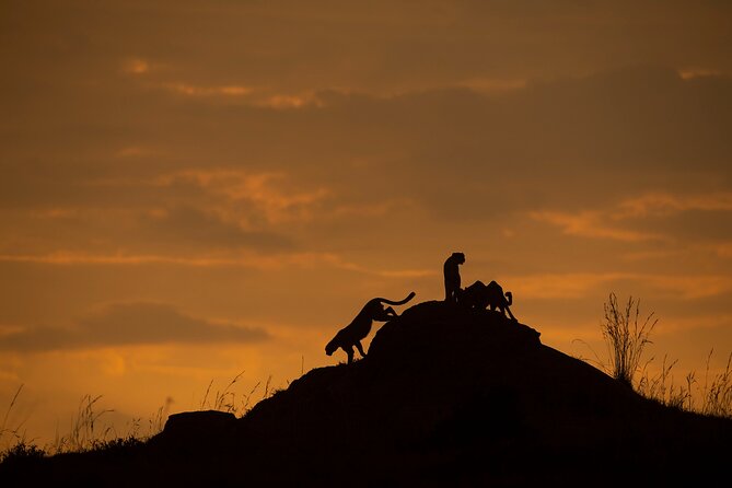Kenya Safari: Amboseli, Lake Naivasha & Masai Mara - Price and value: what $1,650 really buys you