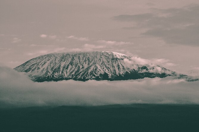 Kilimanjaro Wanderlust Day Hike - Key things you should know before you hike Kilimanjaro’s rainforest side