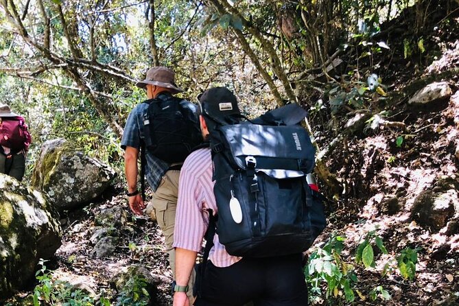 Kilimanjaro Wanderlust Day Hike - Pickup, meeting point, and timing, so you don’t lose time (or patience) to logistics