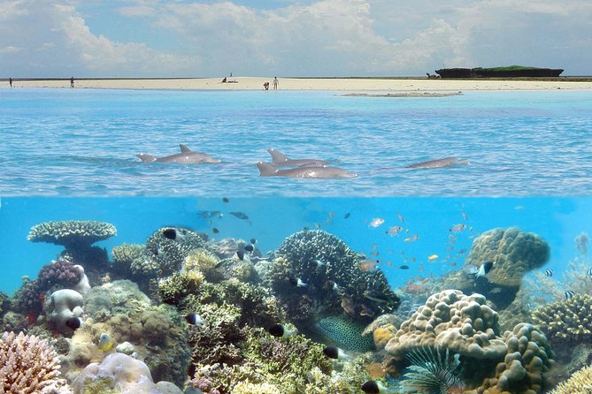 Kisite Marine Park Private Boat Snorkeling with breakfast & Lunch - Key highlights worth getting excited about