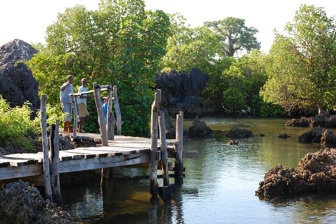 Kisite Marine Park Private Boat Snorkeling with breakfast & Lunch - Coral garden and fishing village: the guide part you should not skip
