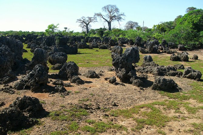 Kisite Marine Park Private Boat Snorkeling with breakfast & Lunch - Shimoni Slave Caves: a heavy history stop on the way back