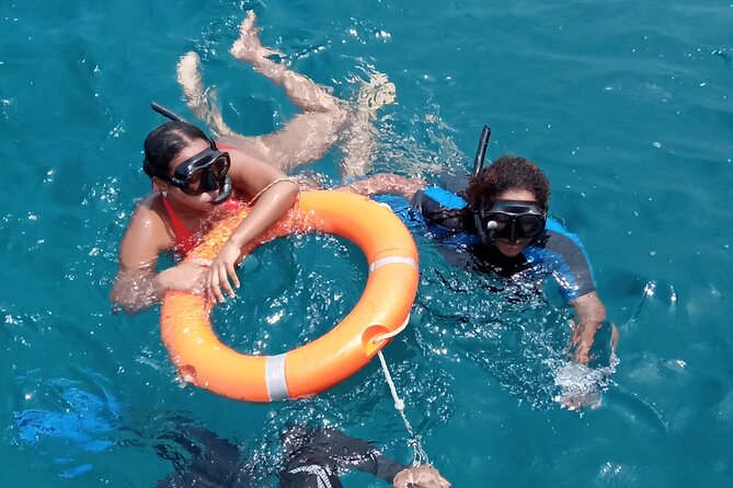 Kisite Mpunguti Day Trip. A day of Oceanic Wonders - Timing, day length, and why your mindset matters