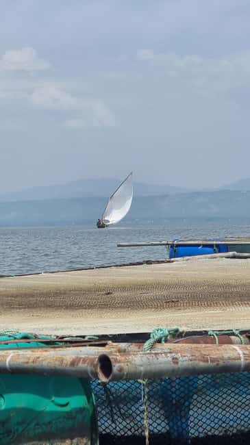 Kisumu Lake Victoria Boat Ride and Hippo Hunt - Birdwatching While You Cruise: How to Make This Part Satisfying