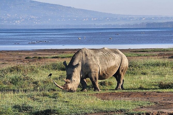 Lake Naivasha And Lake Nakuru Overnight Tour - Hells Gate cycling, gorges, and Rift Valley escarpment stops