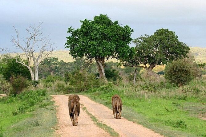 Lake Naivasha And Lake Nakuru Overnight Tour - Overnight comfort and full board meals that keep the schedule sane