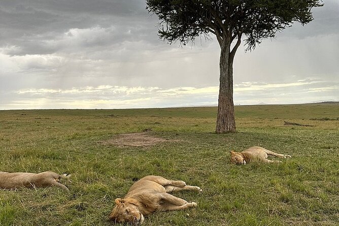 Lake Naivasha And Lake Nakuru Overnight Tour - Price and logistics: is $315 good value?