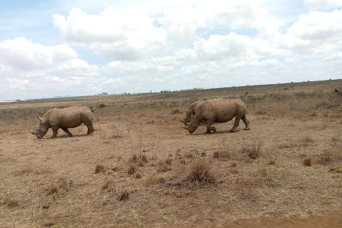 Lake Naivasha And Lake Nakuru Overnight Tour - Who should book this 2-day safari, and what to pack