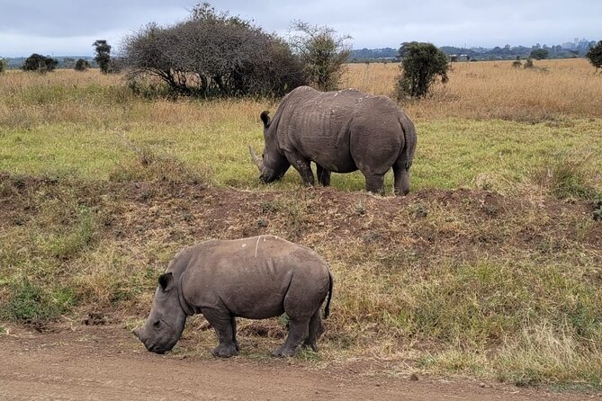 Lake Naivasha And Lake Nakuru Overnight Tour - FAQ