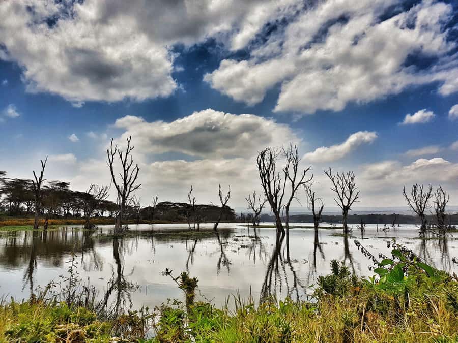 Lake Naivasha: Crescent Island Game Sanctuary - Who this trip suits best, and who should skip it