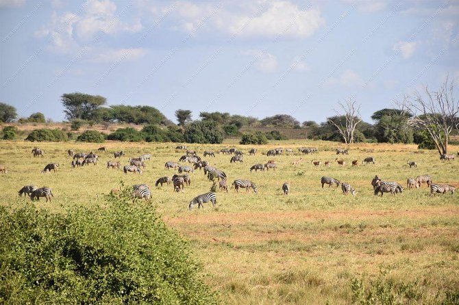 Lake Naivasha day tour including the crescent island - What animal encounters really feel like on the island