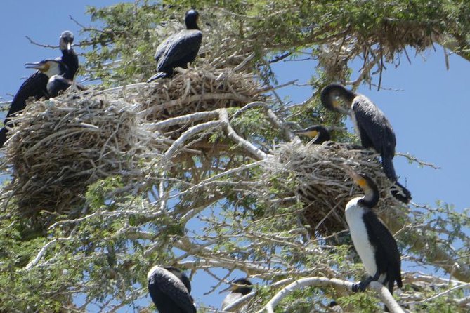 Lake Naivasha day tour including the crescent island - Lake Naivasha by boat: the best way to shift your viewpoint