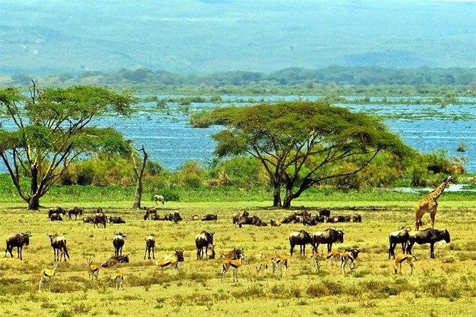 Lake Naivasha day tour including the crescent island - Price and extra costs to budget for