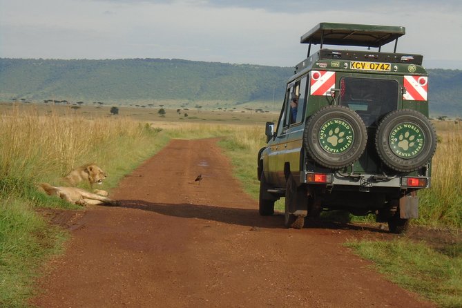 Lake Nakuru, Naivasha & Masai Mara 4 Days Private Jeep Safari - The route: why this combo works (Lake Nakuru and Masai Mara)